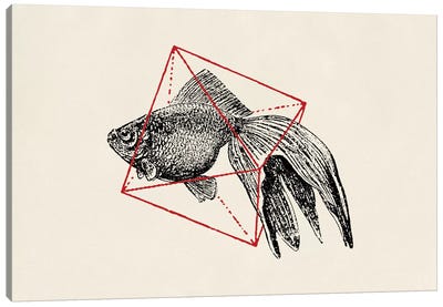 Fish In Geometrics III (wide) Canvas Art Print - Florent Bodart