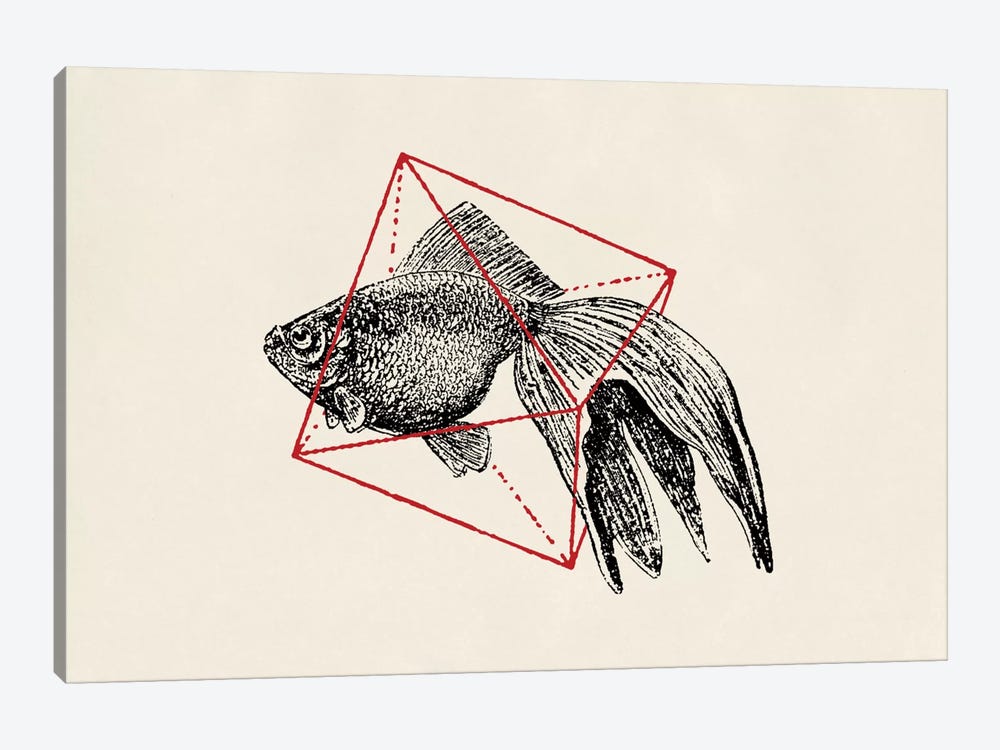 Fish In Geometrics III (wide) by Florent Bodart 1-piece Canvas Art Print