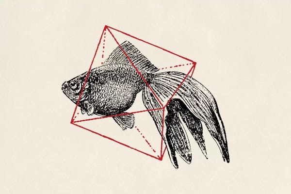Florent Bodart: Fish In Geometrics III (wide) by Florent Bodart