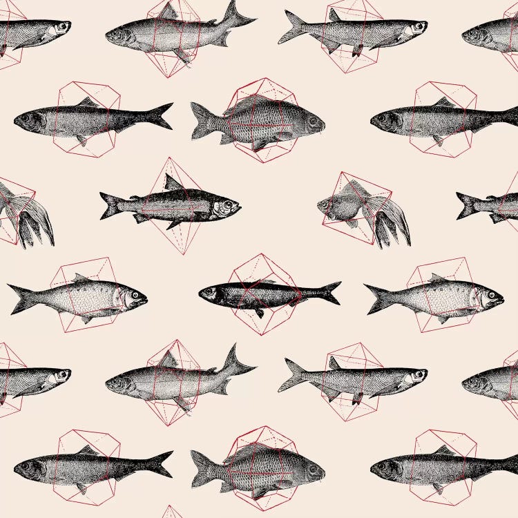 Fishes In Geometrics I