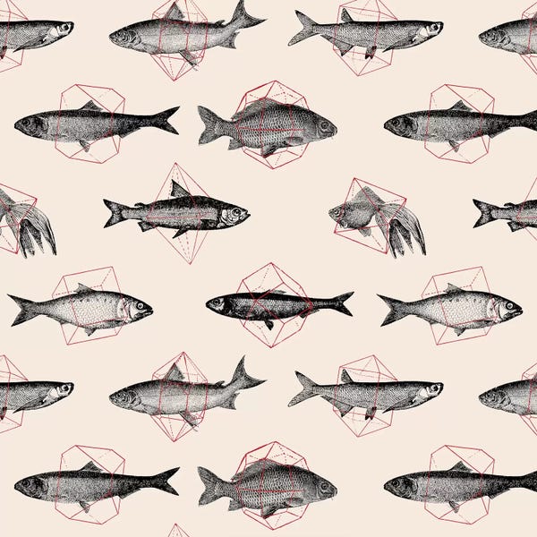 Animal Patterns: Fishes In Geometrics I by Florent Bodart