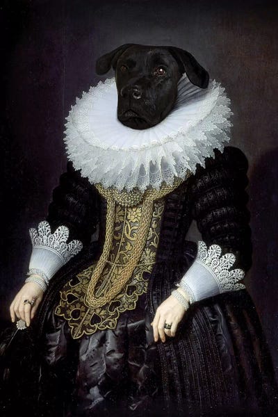 Anouk by Florent Bodart art print