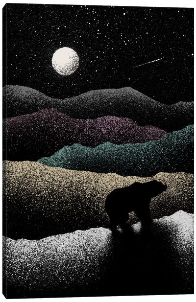 Wandering Bear Canvas Art Print - Night Sky Art