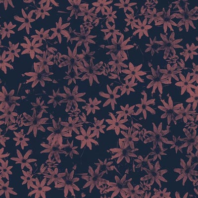 Flowers At Dawn by Florent Bodart framed canvas print