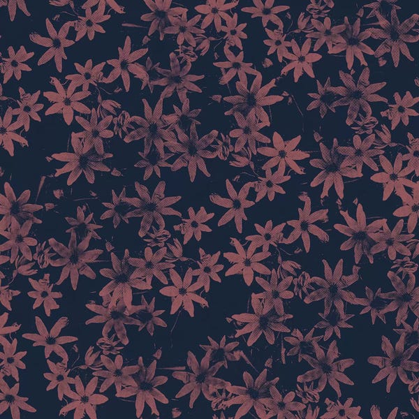 Florent Bodart: Flowers At Dawn by Florent Bodart