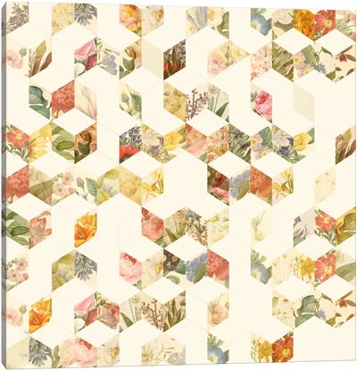 Keziah Flowers Canvas Art Print - Geometric Patterns