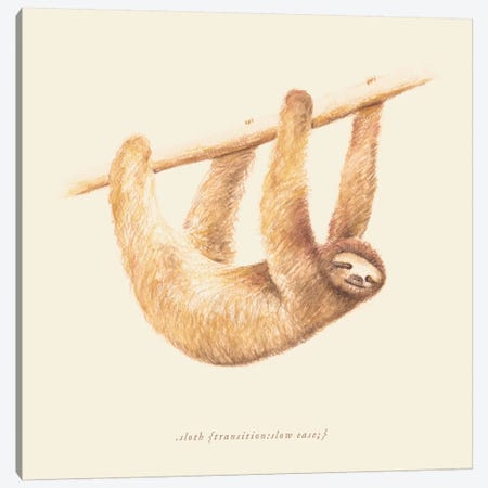 Sloth Canvas Print #FLB81} by Florent Bodart Canvas Print