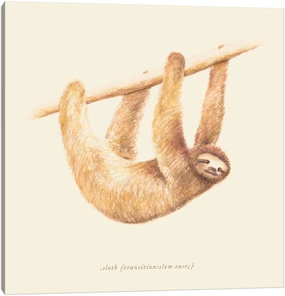 Sloth Canvas Art Print - Sloth Art