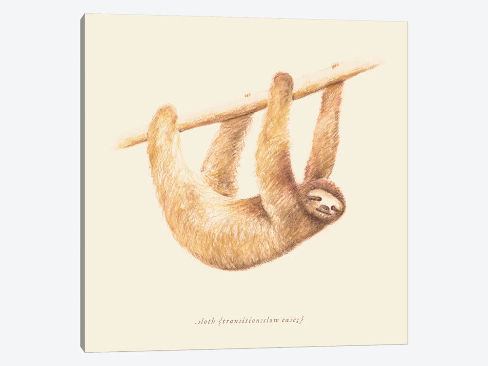 Sloth by Florent Bodart 1-piece Canvas Art Print