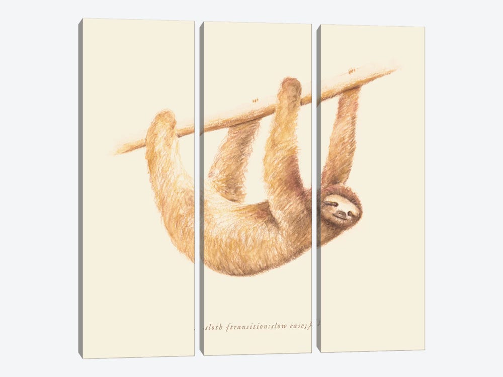 Sloth by Florent Bodart 3-piece Canvas Art Print