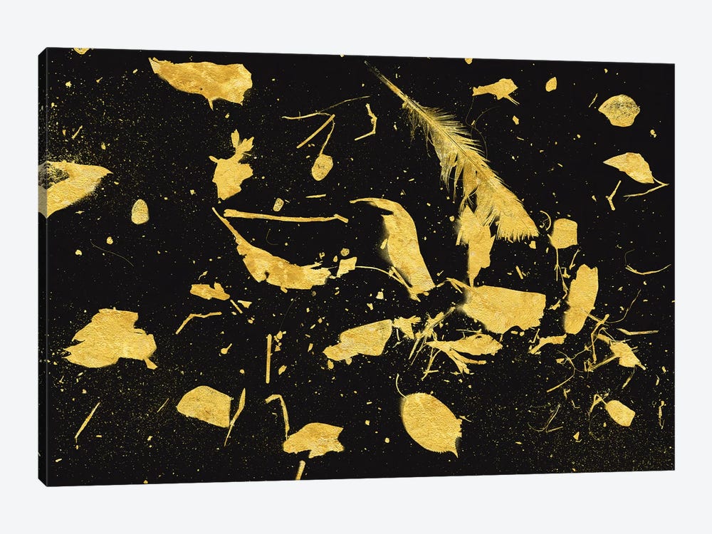 Gold Dust I by Florent Bodart 1-piece Canvas Print