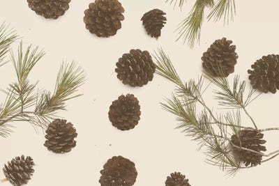 Merry Christmas My Dear by Florent Bodart framed canvas print