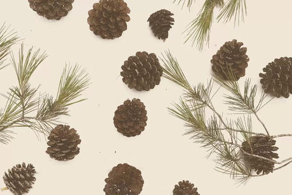 Florent Bodart: Merry Christmas My Dear by Florent Bodart