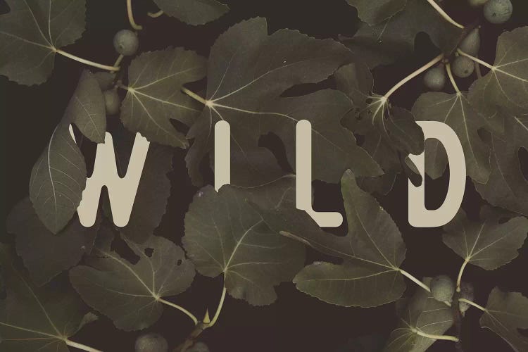 WILD by Florent Bodart wall art