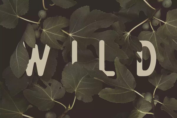 Florent Bodart: WILD by Florent Bodart
