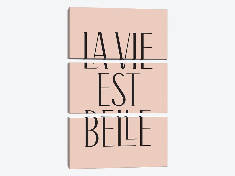 La Vie Est Belle by Flower Love Child 3-piece Art Print