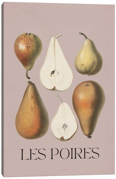 Les Poires Canvas Art Print - Pear Art