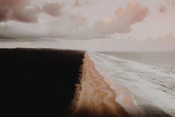 Comfort Zone: Autumn Coast by Flower Love Child