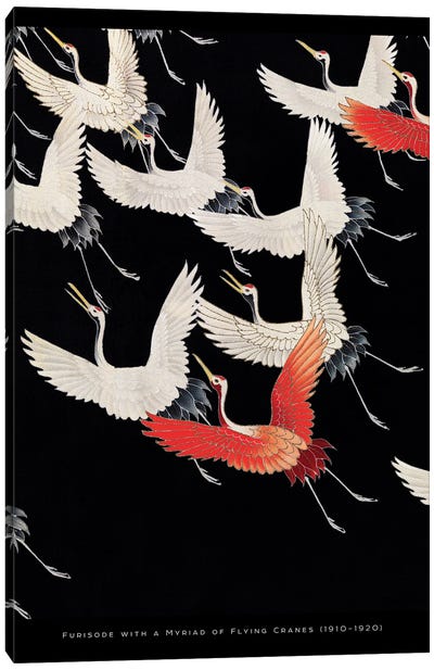 Flying Cranes Canvas Art Print - Flower Love Child