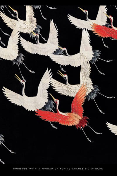 Flower Love Child: Flying Cranes by Flower Love Child