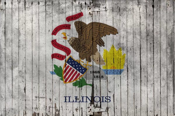 U.S. State Flags: Illinois State Flag on Wood Planks by 5by5collective