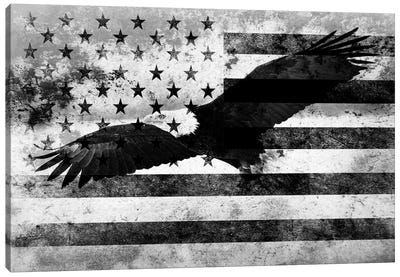 USA "Melting Film" Flag in Black & White (Bald Eagle) Canvas Art Print - Flags Collection