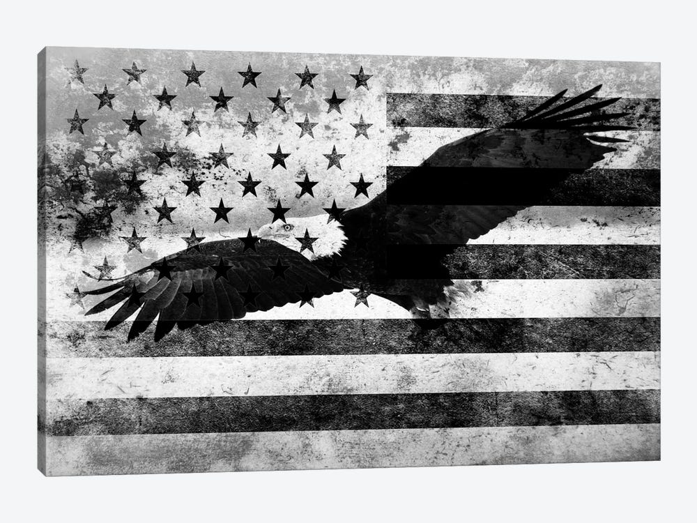 USA "Melting Film" Flag in Black & White (Bald Eagle) by 5by5collective 1-piece Canvas Print
