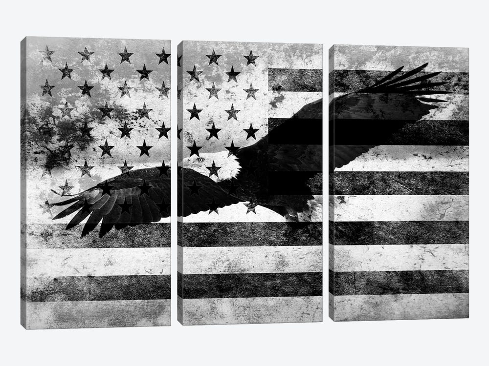 USA "Melting Film" Flag in Black & White (Bald Eagle) by 5by5collective 3-piece Canvas Art Print