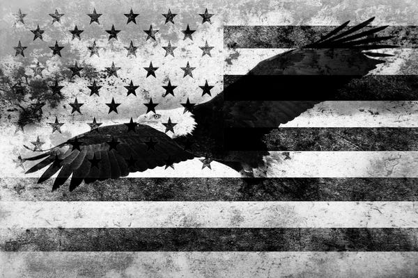 American Décor: USA "Melting Film" Flag in Black & White (Bald Eagle) by 5by5collective