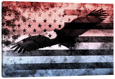 USA "Melting Film" Flag (Bald Eagle) Canvas Art Print - Flags Collection