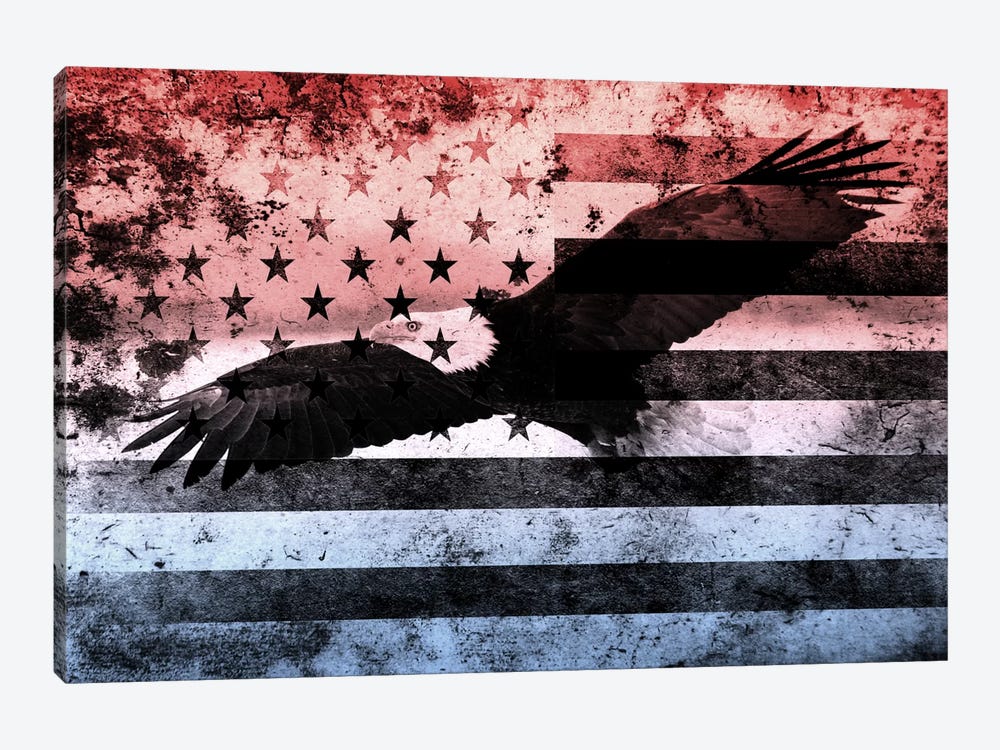 USA "Melting Film" Flag (Bald Eagle) by 5by5collective 1-piece Canvas Artwork