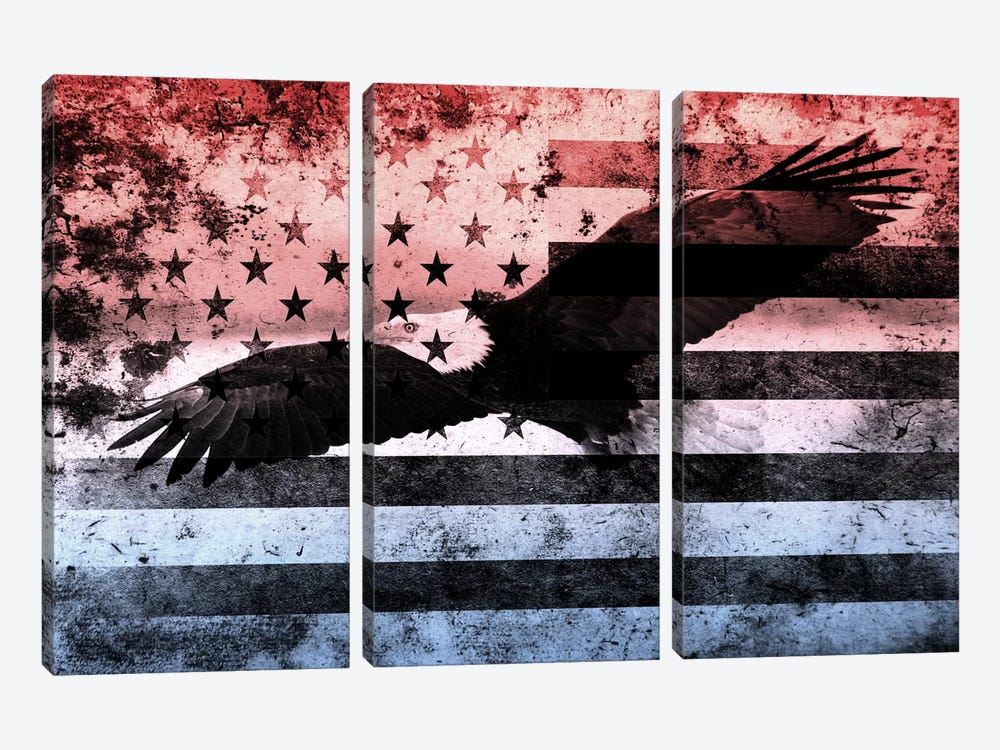 USA "Melting Film" Flag (Bald Eagle) by 5by5collective 3-piece Canvas Wall Art