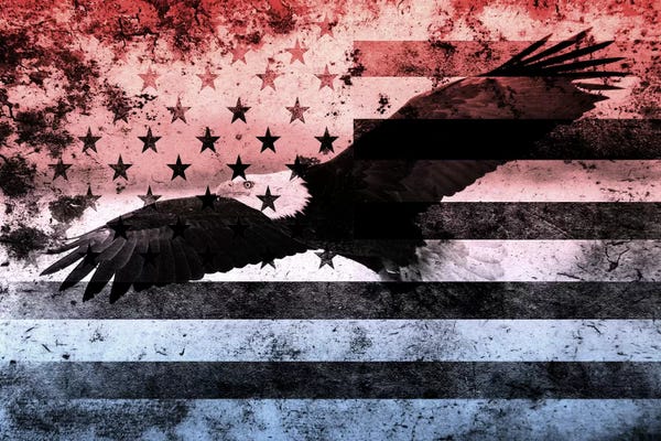 American Flags: USA "Melting Film" Flag (Bald Eagle) by 5by5collective