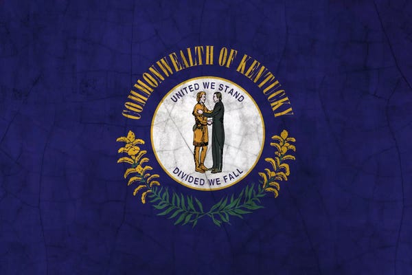 Kentucky: Kentucky Cracked Paint State Flag by 5by5collective