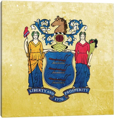 New Jersey II Canvas Art Print - U.S. State Flag Art
