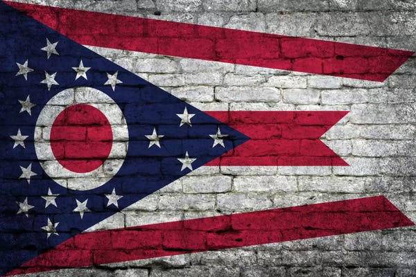 Ohio: Ohio State Flag on Bricks by iCanvas
