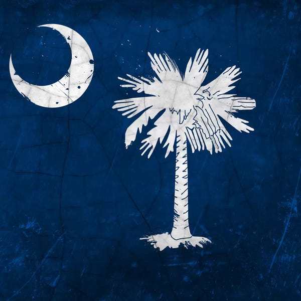 South Carolina: South Carolina Cracked Paint State Flag by iCanvas