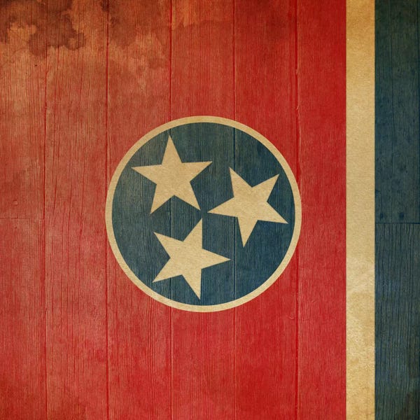Tennessee: Tennessee State Flag on Wood Planks II by iCanvas