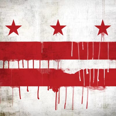 Washington, D.C. Paint Drip City Flag by iCanvas framed canvas print