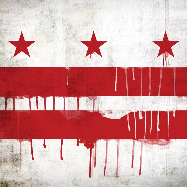 Washington, D.C. Paint Drip City Flag by iCanvas wall art