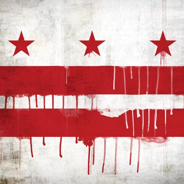 Washington, D.C.: Washington, D.C. Paint Drip City Flag by iCanvas