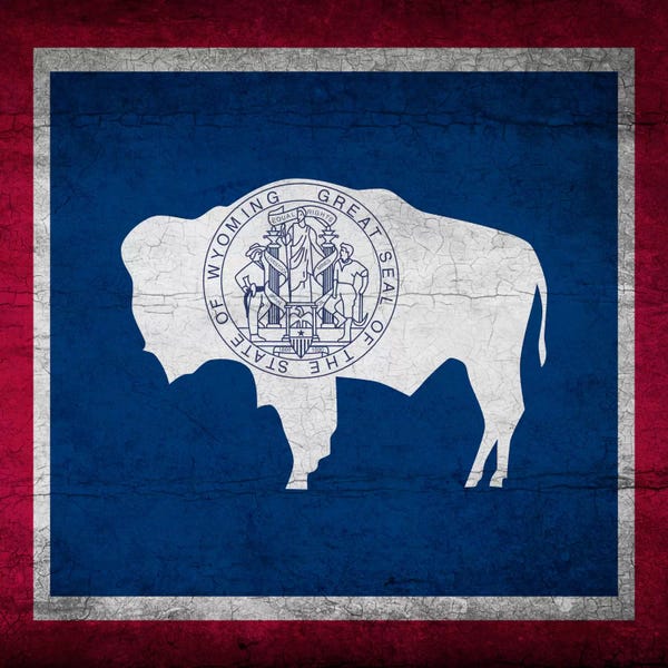 Wyoming: Wyoming Cracked Paint State Flag by iCanvas
