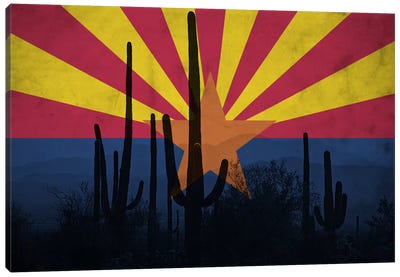 Arizona (Cacti) Canvas Art Print - U.S. State Flag Art