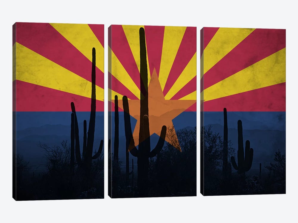 Arizona (Cacti) by 5by5collective 3-piece Canvas Print