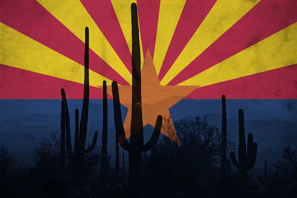 Flags Collection: Arizona (Cacti) by 5by5collective
