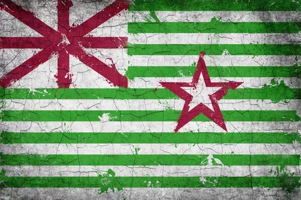 U.S. State Flags: Stephen F. Austin Alternate Texas Cracked Paint State Flag by iCanvas