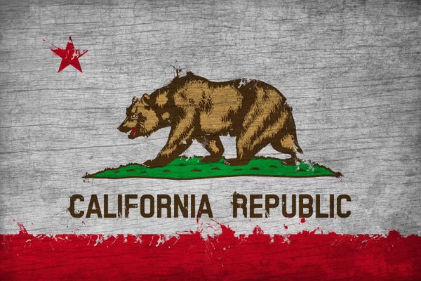 Bears: California Fresh Paint State Flag on Wood Board by 5by5collective
