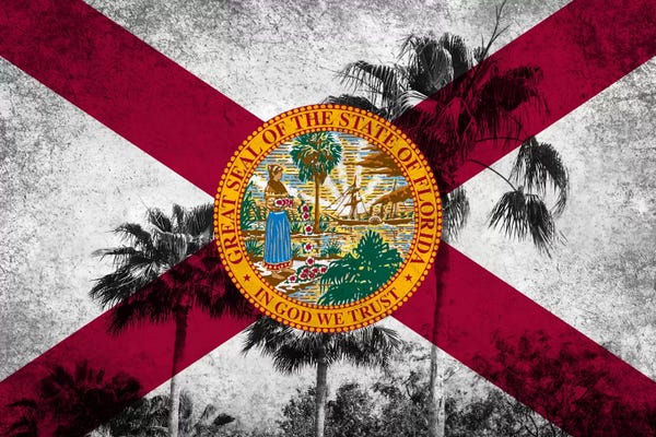 Florida: Forida FlagGrudge Palm Trees by iCanvas