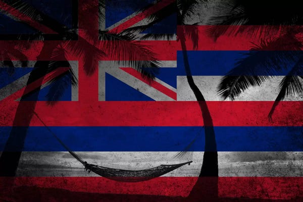 U.S. State Flags: Hawai'i (Beach Landscape) by 5by5collective