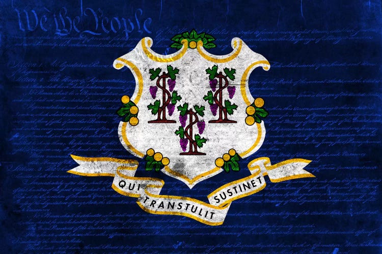 Connecticut (U.S. Constitution) by 5by5collective wall art